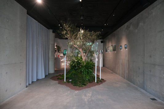 BOTANIST 10th Anniversary Special Event