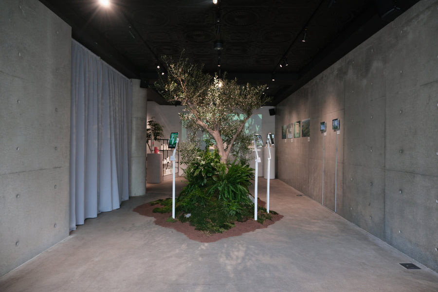 BOTANIST 10th Anniversary Special Event