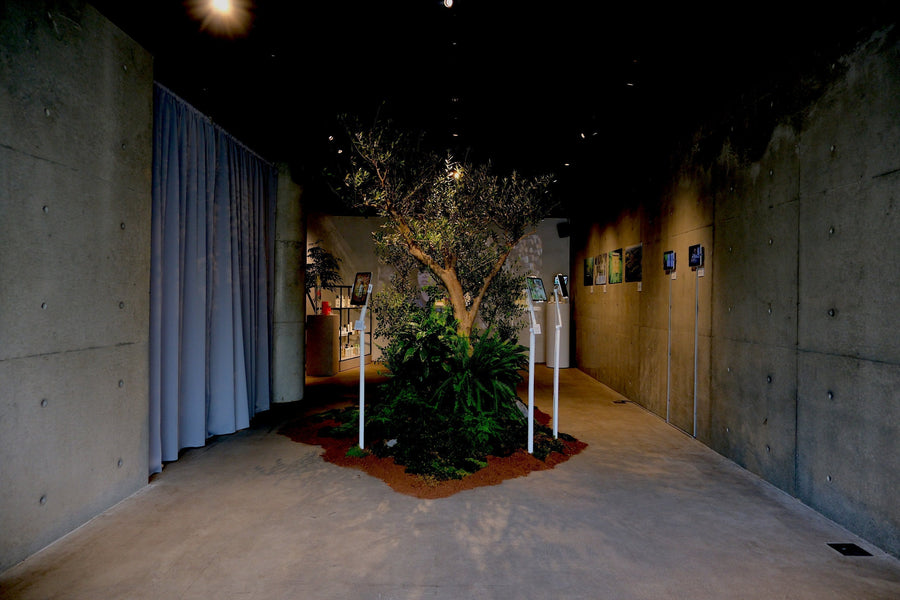 BOTANIST 10th Anniversary Special Event